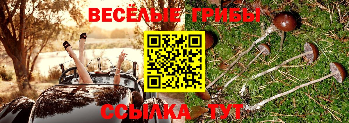 Галлюциногенные грибы мицелий Когалым